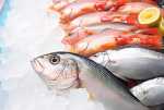 Fish Shop