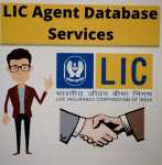 Lic Agent