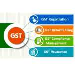 GST Consultant
