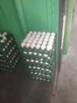 Egg shop
