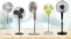 Pedestal Fan