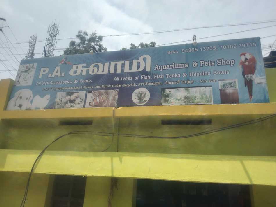 P.A.Swamy Aquarium